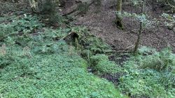 Kalter Brunnen 01