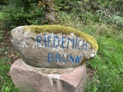 Riedemichbrunnen 07